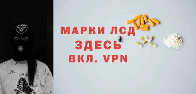 ПСИЛОЦИБИНОВЫЕ ГРИБЫ Армянск