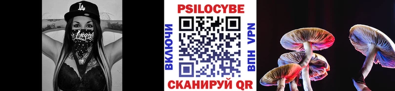 это какой сайт  Казань  Псилоцибиновые грибы мицелий 